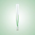 Sprouted grains in glass test tubes (3d render) Royalty Free Stock Photo