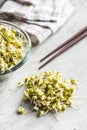 Sprouted green mung beans. Mung sprouts Royalty Free Stock Photo