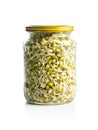 Sprouted green mung beans. Mung sprouts Royalty Free Stock Photo