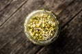 Sprouted green mung beans. Mung sprouts in jar Royalty Free Stock Photo
