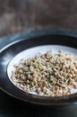 Sprouted Lentils Royalty Free Stock Photo