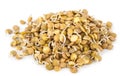 Sprouted lentils Royalty Free Stock Photo