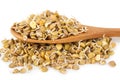 Sprouted lentils Royalty Free Stock Photo