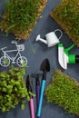 Sprouted microgreen sunflower, oat, alfalfa, wheat with gardening tools flat lay, top view