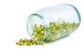 Sprouted mung bean in a glass jar on a white Royalty Free Stock Photo