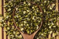 Sprouted Mung Beans. Fresh sprouts of bean seeds Royalty Free Stock Photo