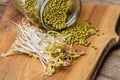 Sprouted mung beans and green mung beans in a glass jar on a wooden background Royalty Free Stock Photo