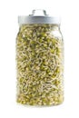 Sprouted mung beans