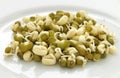 Sprouted mung beans