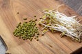 Sprouted mung beans on a wooden background