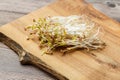 Sprouted mung beans on a wooden background