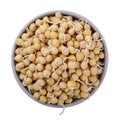 Sprouted peas in a cup isolated on white background Royalty Free Stock Photo
