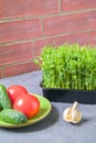 Sprouted peas in the kitchen. Fresh salad, cucumbers, tomatoes. The concept of healthy eating. Brick wall background Royalty Free Stock Photo