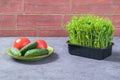 Sprouted peas in the kitchen. Fresh salad. The concept of healthy eating. Brick wall background Royalty Free Stock Photo