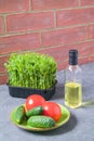 Sprouted peas in the kitchen. Fresh salad, tomatoes, cucumbers, oil. The concept of healthy eating. Brick wall Royalty Free Stock Photo
