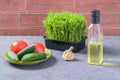 Sprouted peas in the kitchen. Fresh salad, tomatoes, cucumbers, oil. The concept of healthy eating. Brick wall Royalty Free Stock Photo