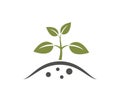 sprouted plant icon. gardening, planting, seedling and growing symbol. isolated vector image Royalty Free Stock Photo