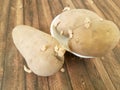 Sprouted potatoes, wooden germination tuber cultivated