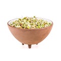 Sprouted seeds Royalty Free Stock Photo
