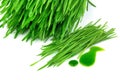Sprouted wheat and wheatgrass juice Royalty Free Stock Photo