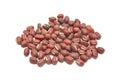 Sprouting azuki bean Royalty Free Stock Photo