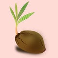 Sprouting-coconut vector