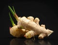 Sprouting Ginger Root with Green Shoots on Reflective Black Surface image photo Royalty Free Stock Photo