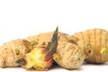 Sprouting ginger Royalty Free Stock Photo