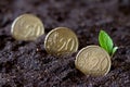 Sprouting plant from coins planted in ground, saving money and investment concept Royalty Free Stock Photo