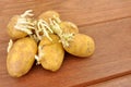 Sprouting Potatoes