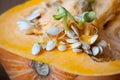 Sprouting pumpkin seeds and fibrous strands within cut pumpkin. Close-up