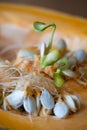 Sprouting pumpkin seeds and fibrous strands within cut pumpkin. Close-up