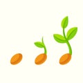 Sprouting seed illustration Royalty Free Stock Photo