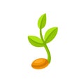Sprouting seed illustration Royalty Free Stock Photo