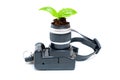 Sprouting Talent: Young Shoot Emerges from a Miniature Camera Lens Royalty Free Stock Photo