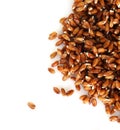 Sprouting wheat grass seeds on white background Royalty Free Stock Photo