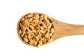 Sprouting Wheat in Spoon Royalty Free Stock Photo