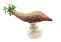 Sprouting yam on a pedestal