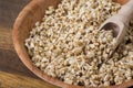 Sprouts of buckwheat groats in bowl, rustic style