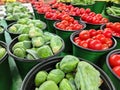 Fresh Sprouts and Cherry Tomatoes Royalty Free Stock Photo