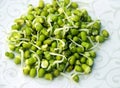 Sprouts- mung beans/green gram Royalty Free Stock Photo