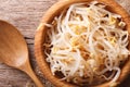 Sprouts of mung beans in a wooden bowl close-up. horizontal top Royalty Free Stock Photo