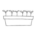 sprouts in a seedling box icon, sticker. sketch hand drawn doodle style. vector monochrome minimalism. spring, plant Royalty Free Stock Photo