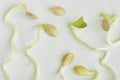 Sprouts and seeds. Royalty Free Stock Photo