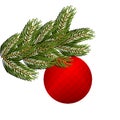 Spruce branch and Christmas tree toy. Red holiday ball. FIR green branch. Green lush spruce. Royalty Free Stock Photo