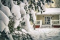 Spruce branch covered with snow in front of countryside house in january