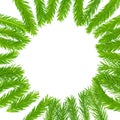 Spruce branch isolated on white background. Green fir. Christmas Tree Branches Border close up Royalty Free Stock Photo