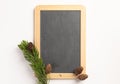 Spruce branches and blank blackboard, on a white background Royalty Free Stock Photo