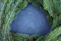 The spruce branches lying on the chalkboard. Christmas tree black background. New Year. Royalty Free Stock Photo