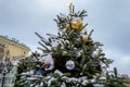 Spruce, Christmas-tree decorated, covered with snow. Silver and gold balls, toys Royalty Free Stock Photo